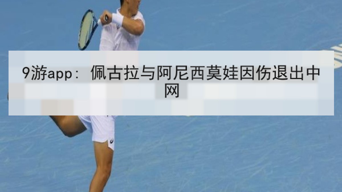 9游app: 佩古拉与阿尼西莫娃因伤退出中网 9游app: 佩古拉与阿尼西莫娃因伤退出中网